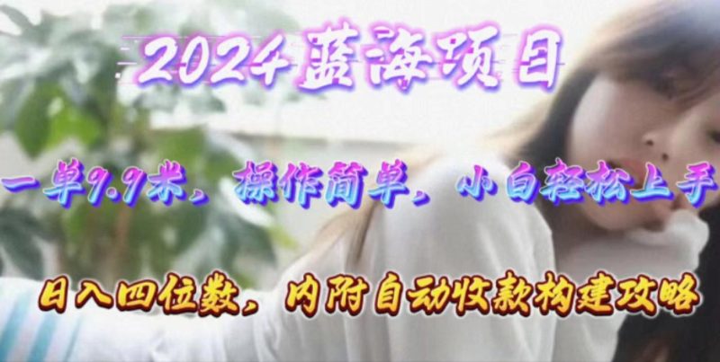 年轻群体的蓝海市场,1单9.9元,操作简单,小白轻松上手,日入四位数-一人公司创业项目 - 淘金吧