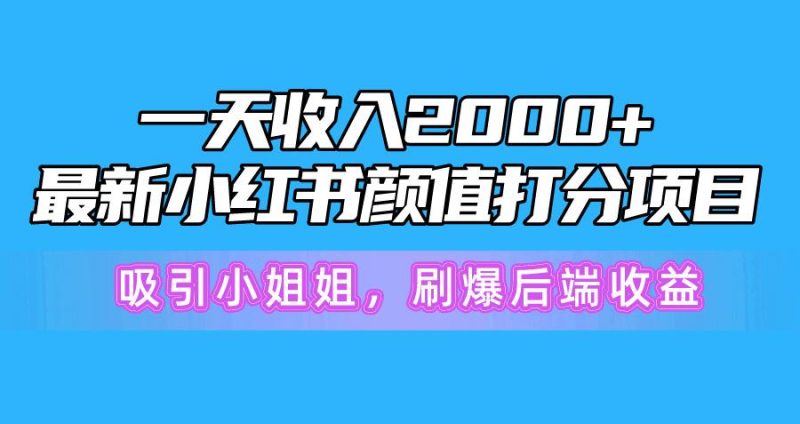 一天收入2000+，最新小红书颜值打分项目，吸引小姐姐，刷爆后端收益-一人公司创业项目 - 淘金吧