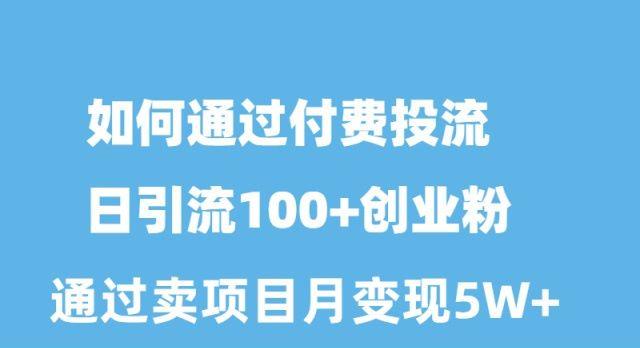 如何通过付费投流日引流100+创业粉月变现5W+-一人公司创业项目 - 淘金吧
