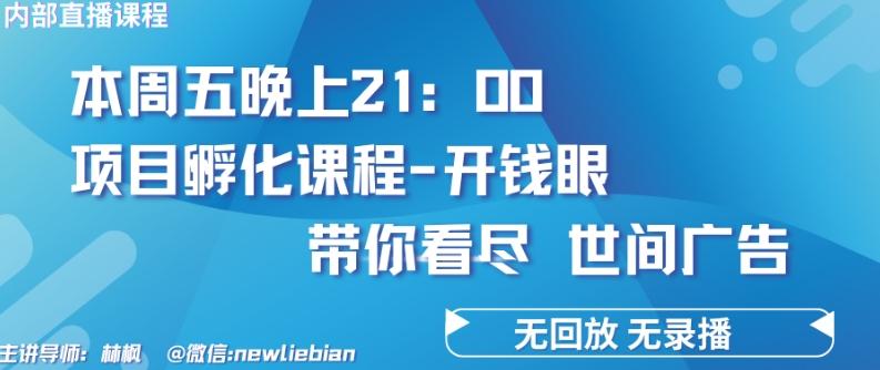 4.26日内部回放课程《项目孵化-开钱眼》赚钱的底层逻辑【揭秘】-一人公司创业项目 - 淘金吧
