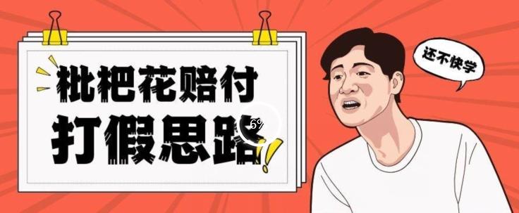 最新打假原料枇杷花赔付玩法一单收益1000+小白轻松下车【详细视频玩法教程】【仅揭秘】-一人公司创业项目 - 淘金吧