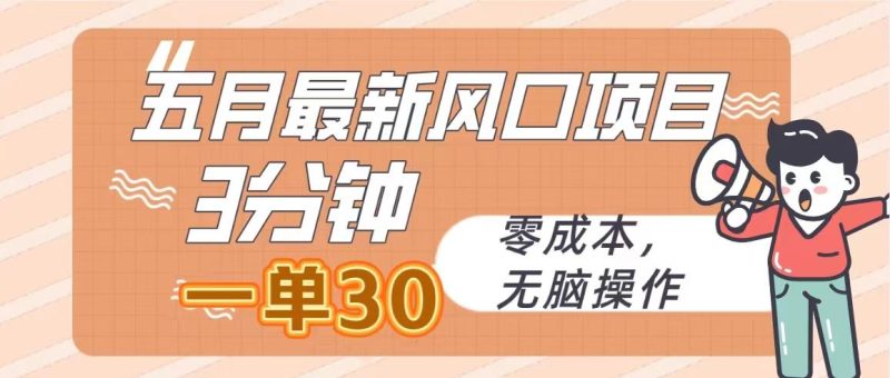 五月最新风口项目，3分钟一单30，零成本，无脑操作-一人公司创业项目 - 淘金吧
