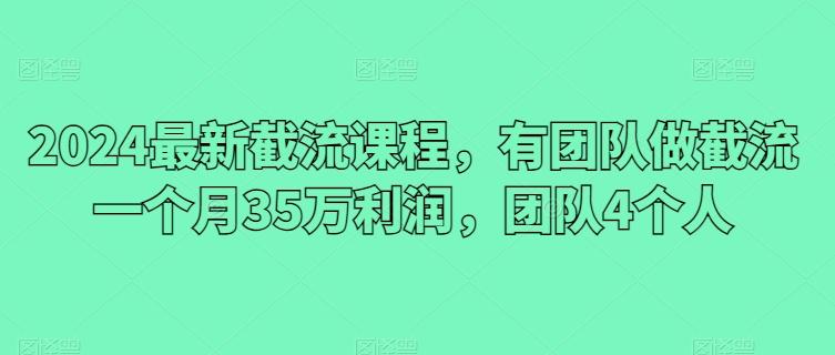 2024最新截流课程，有团队做截流一个月35万利润，团队4个人-一人公司创业项目 - 淘金吧