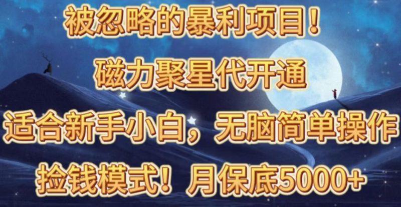 被忽略的暴利项目！磁力聚星代开通捡钱模式，轻松月入五六千-一人公司创业项目 - 淘金吧