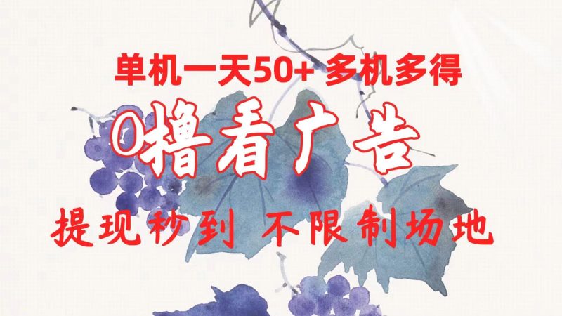 0撸看广告 单机一天50+多机多得 提现秒到 不限制场地操作-一人公司创业项目 - 淘金吧