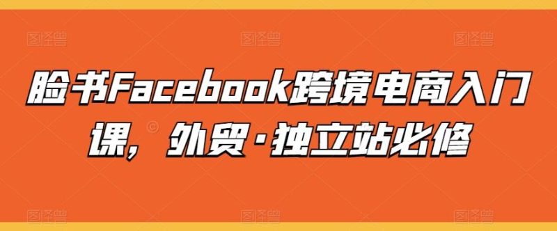 脸书Facebook跨境电商入门课，外贸·独立站必修-一人公司创业项目 - 淘金吧