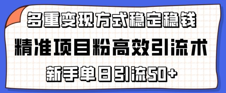 精准项目粉高效引流术,新手单日引流50+,多重变现方式稳定赚钱【揭秘】-一人公司创业项目 - 淘金吧