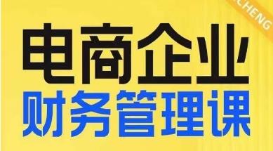 电商企业财务管理线上课，为电商企业规划财税-淘金吧副业资源站