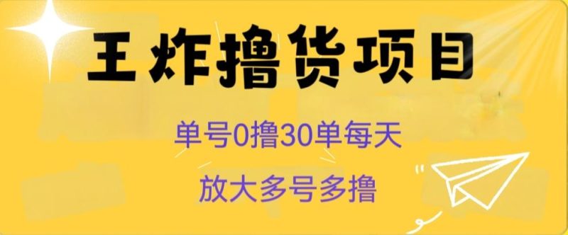 王炸撸货项目,单号0撸30单每天,多号多撸【揭秘】-一人公司创业项目 - 淘金吧