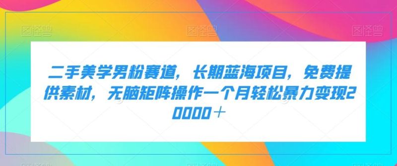 二手美学男粉赛道，长期蓝海项目，无脑矩阵操作一个月轻松暴力变现20000＋-一人公司创业项目 - 淘金吧