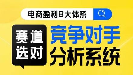 电商盈利8大体系·赛道选对，​竞争对手分析系统线上课-一人公司创业项目 - 淘金吧
