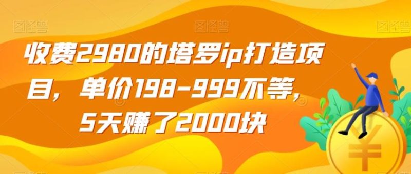 收费2980的塔罗ip打造项目，单价198-999不等，5天赚了2000块【揭秘】-一人公司创业项目 - 淘金吧