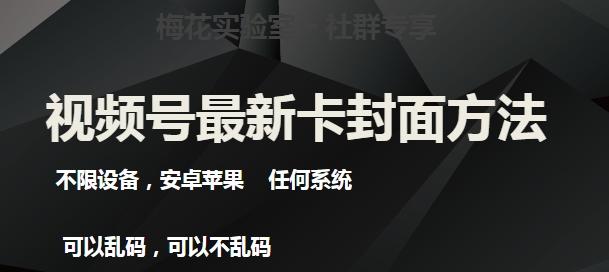 梅花实验室社群最新卡封面玩法3.0，不限设备，安卓苹果任何系统-一人公司创业项目 - 淘金吧