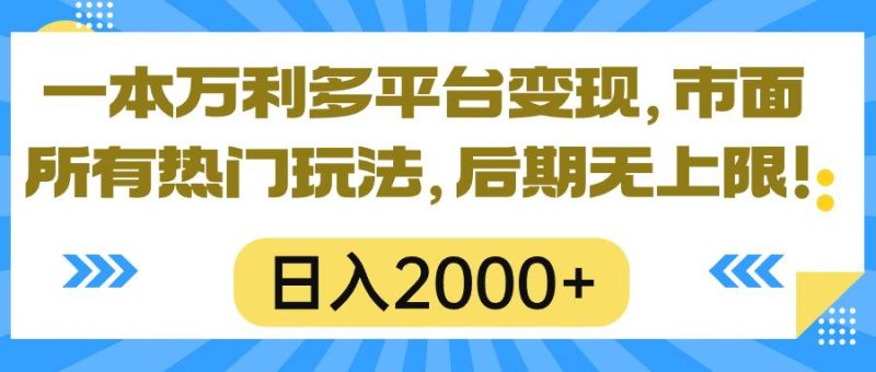 一本万利多平台变现,市面所有热门玩法,日入2000+,后期无上限!-一人公司创业项目 - 淘金吧