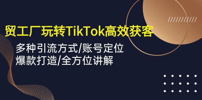 外贸工厂玩转TikTok高效获客,多种引流方式/账号定位/爆款打造/全方位讲解-一人公司创业项目 - 淘金吧