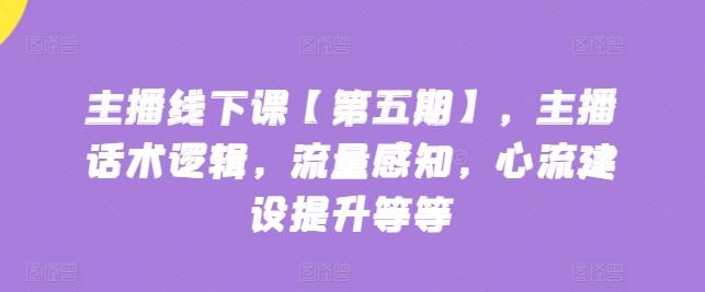 主播线下课【第五期】，主播话术逻辑，流量感知，心流建设提升等等-一人公司创业项目 - 淘金吧