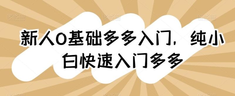 新人0基础多多入门，​纯小白快速入门多多-一人公司创业项目 - 淘金吧