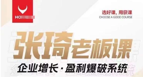 【组合课】张琦张琦老板企业增长·盈利爆破系统（直播专享）-一人公司创业项目 - 淘金吧