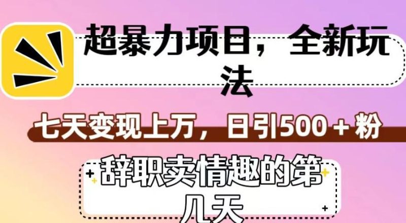 超暴利项目,全新玩法(辞职卖情趣的第几天),七天变现上万,日引500+粉【揭秘】-一人公司创业项目 - 淘金吧