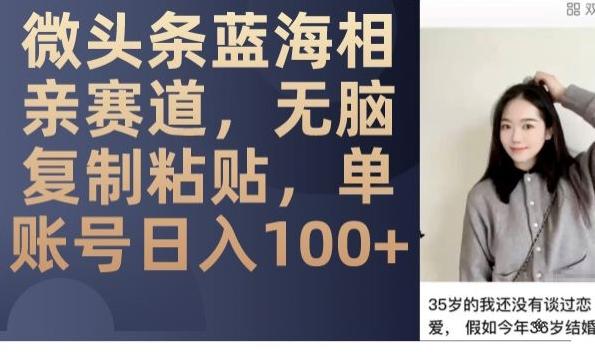 微头条蓝海相亲赛道，无脑复制粘贴，单账号日入100+-淘金吧 - 2026 副业网赚项目教程合集，电商自媒体实操付费资源平台