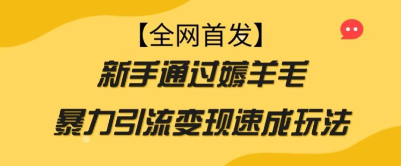 【全网首发】新手通过薅羊毛暴力引流变现速成玩法-一人公司创业项目 - 淘金吧