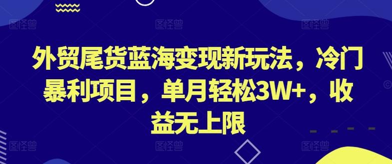 外贸尾货蓝海变现新玩法，冷门暴利项目，单月轻松3W+，收益无上限【揭秘】-一人公司创业项目 - 淘金吧