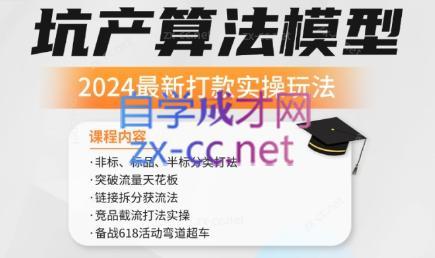 沐网商·2024最新坑产算法模型打款玩法系列-一人公司创业项目 - 淘金吧