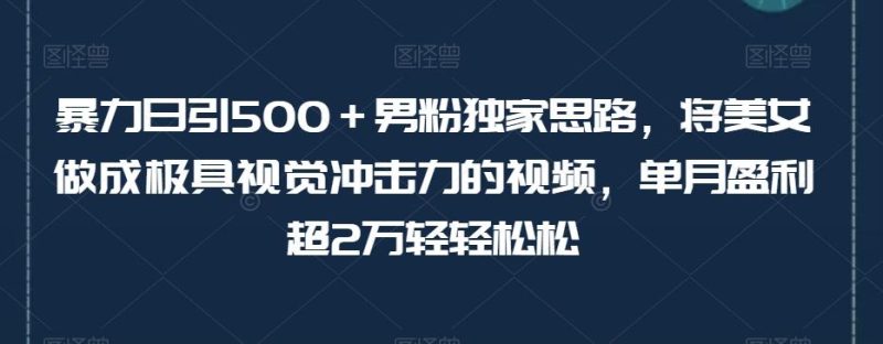 暴力日引500+男粉独家思路,将美女做成极具视觉冲击力的视频,单月盈利超2万轻轻松松-一人公司创业项目 - 淘金吧