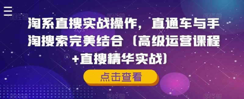 淘系直搜实战操作,直通车与手淘搜索完美结合(高级运营课程+直搜精华实战)-一人公司创业项目 - 淘金吧