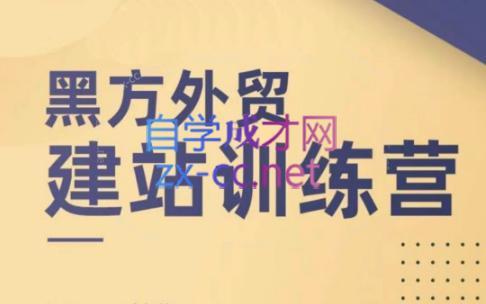 黑方老师·谷歌B端独立站建站推广-一人公司创业项目 - 淘金吧