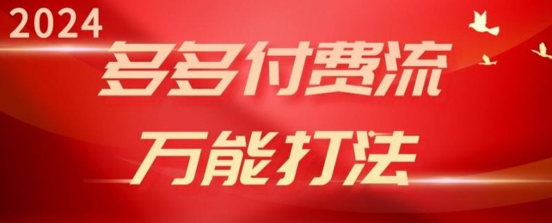2024多多付费流万能打法、强付费起爆、流量逻辑、高转化、高投产【揭秘】-一人公司创业项目 - 淘金吧