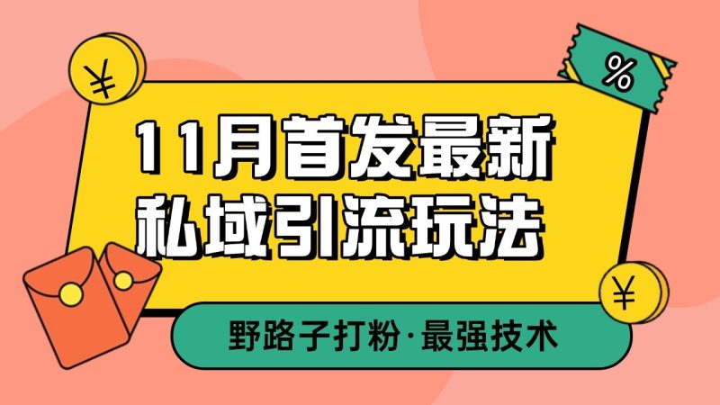11月首发最新私域引流玩法，自动克隆爆款一键改写截流自热一体化 日引300+精准粉-一人公司创业项目 - 淘金吧