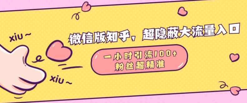 微信版知乎,超隐蔽流量入口1小时引流100人,粉丝质量超高【揭秘】-一人公司创业项目 - 淘金吧