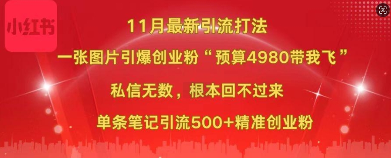 小红书11月最新图片打粉，一张图片引爆创业粉，“预算4980带我飞”，单条引流500+精准创业粉-一人公司创业项目 - 淘金吧