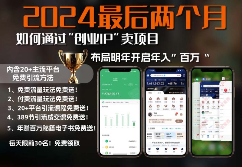 2024最后两个月如何通过”创业IP“卖项目年入”百万“,创业IP+最强引流…-一人公司创业项目 - 淘金吧