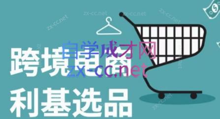 阿甘·2024年跨境电商选品案例-一人公司创业项目 - 淘金吧