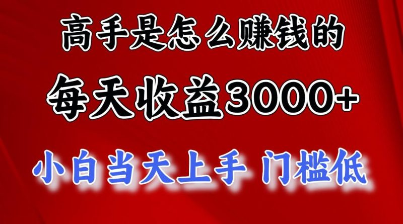 高手是怎么赚钱的，一天收益3000+ 这是穷人逆风翻盘的一个项目，非常稳…-一人公司创业项目 - 淘金吧