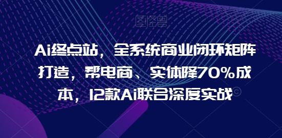 Ai终点站，全系统商业闭环矩阵打造，帮电商、实体降70%成本，12款Ai联合深度实战-一人公司创业项目 - 淘金吧