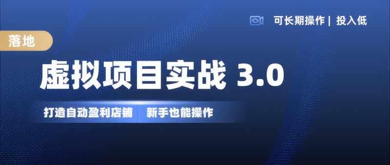 虚拟项目实操落地 3.0,新手轻松上手，单品月入1W+-淘金吧副业资源站