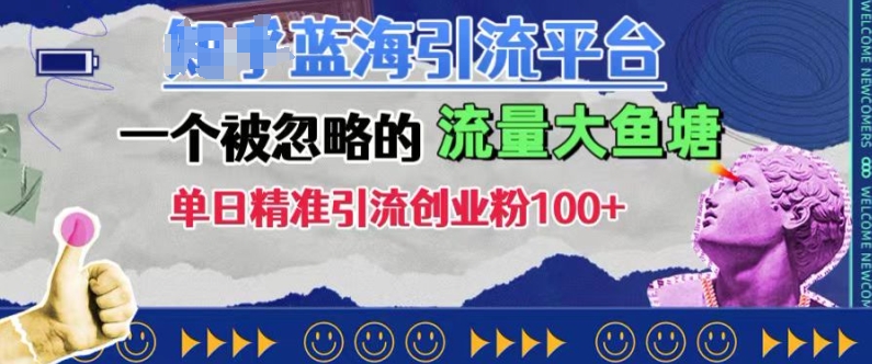 豆瓣蓝海引流平台，一个被忽略的流量大鱼塘，单日精准引流创业粉100+-一人公司创业项目 - 淘金吧