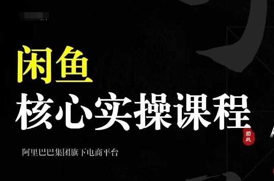 2024闲鱼核心实操课程，从养号、选品、发布、销售，教你做一个出单的闲鱼号-淘金吧副业资源站