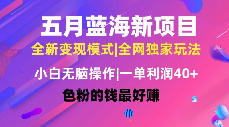 五月蓝海项目全新玩法，小白无脑操作，一天几分钟，矩阵操作，月入4万+-一人公司创业项目 - 淘金吧