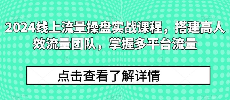 2024线上流量操盘实战课程，搭建高人效流量团队，掌握多平台流量-一人公司创业项目 - 淘金吧