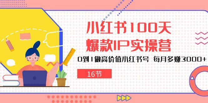 小红书100天-爆款IP实操营，0到1做高价值小红书号 每月多赚3000+(16节-一人公司创业项目 - 淘金吧