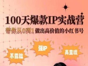 小红书100天爆款IP实战营，带你从0到1做出高价值的小红书号-淘金吧副业资源站