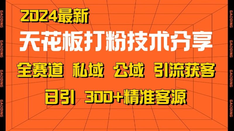 天花板打粉技术分享，野路子玩法 曝光玩法免费矩阵自热技术日引2000+精准客户-一人公司创业项目 - 淘金吧