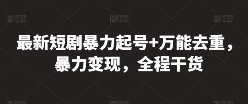 最新短剧暴力起号+万能去重,暴力变现,全程干货【揭秘】-一人公司创业项目 - 淘金吧