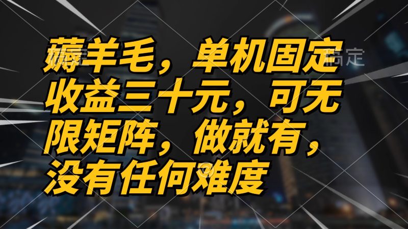 薅羊毛项目，单机三十元，做就有，可无限矩阵 无任何难度-一人公司创业项目 - 淘金吧