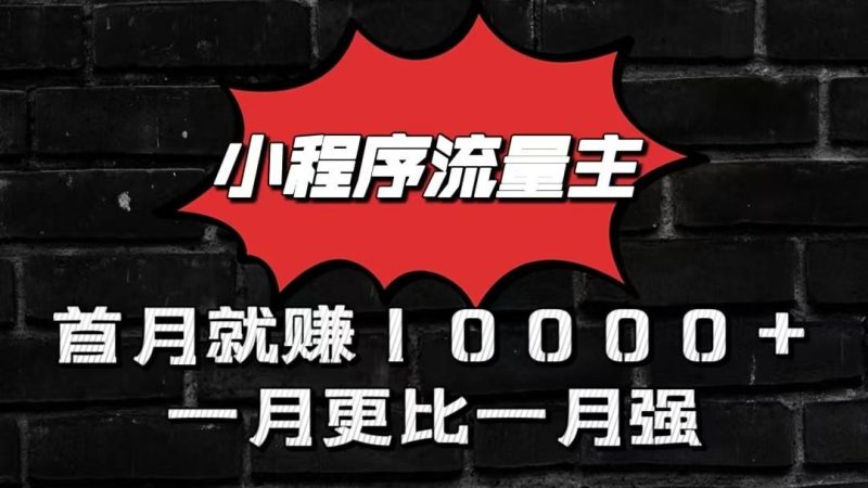 小程序流量主首月就赚10000+,一月更比一月强!小本创业首选-一人公司创业项目 - 淘金吧