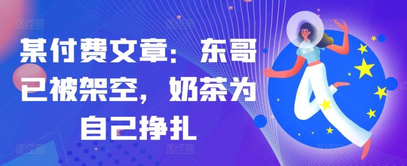 某付费文章：东哥已被架空，奶茶为自己挣扎!!-一人公司创业项目 - 淘金吧